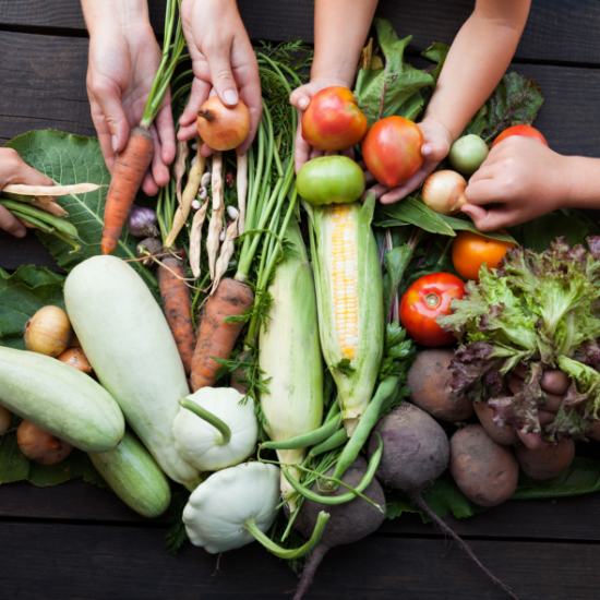 Immagine di Ripensare la nutrizione: dall’alimentazione consapevole all’alimentazione sostenibile	lunedì	15.00-16.30	I PERIODO prof.ssa Carla Lorenzi